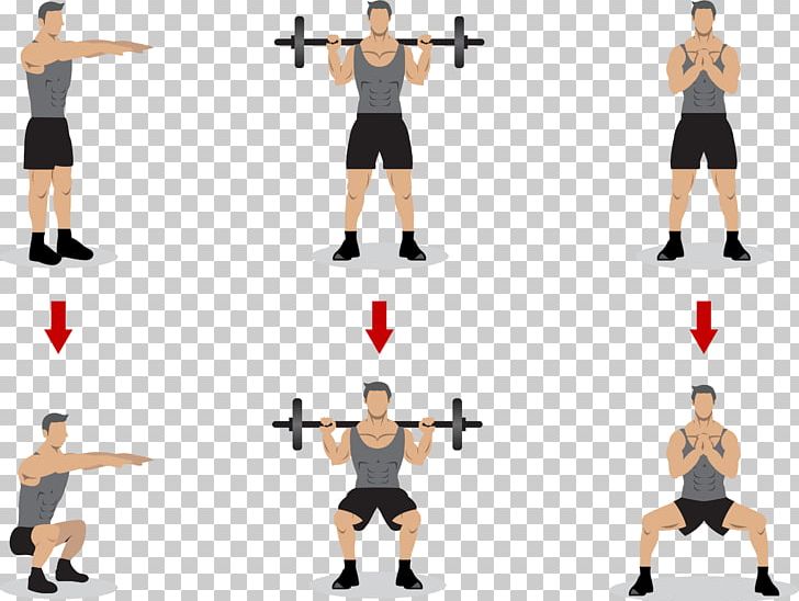 Squat Olympic Weightlifting Physical Exercise Strength Training PNG, Clipart, Abdomen, Arm, Encapsulated Postscript, Fitness Professional, Gymnastics Girl Free PNG Download