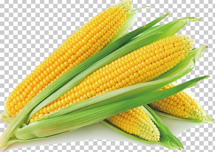 Sweet Corn Corn On The Cob Corn Soup Maize Vegetable PNG, Clipart, Baby Corn, Carbohydrate, Cartoon Corn, Cereal, Commodity Free PNG Download