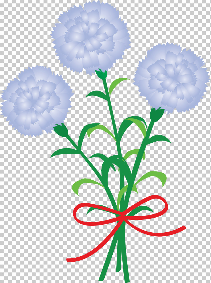 Mothers Day Carnation Mothers Day Flower PNG, Clipart, Cut Flowers, Flower, Hydrangea, Mothers Day Carnation, Mothers Day Flower Free PNG Download