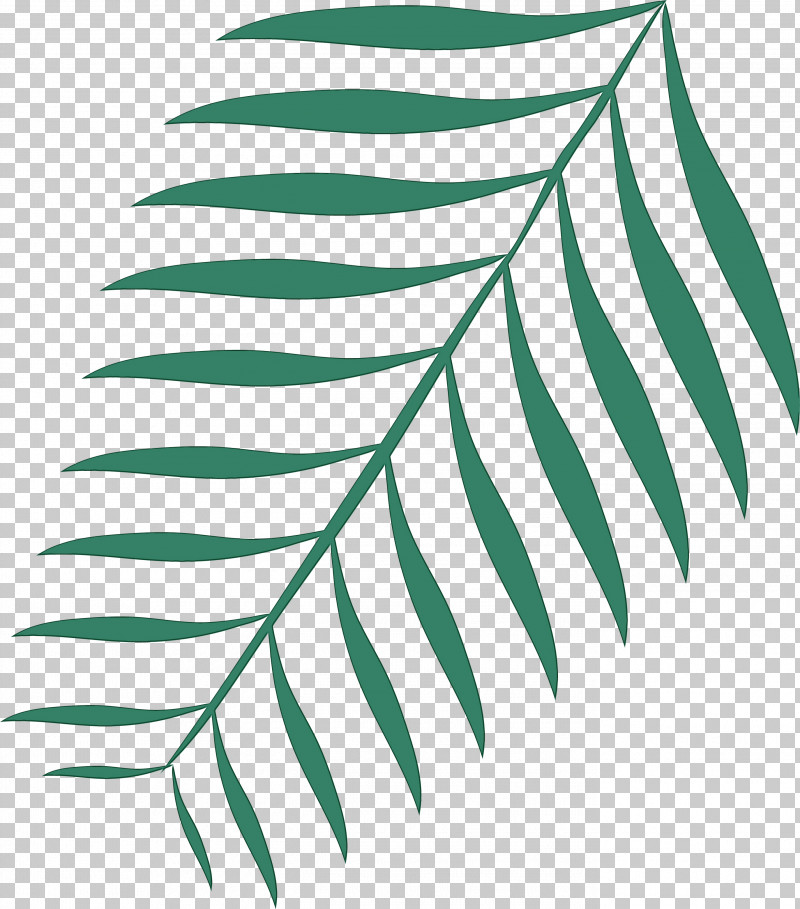 Plant Stem Leaf Black & White / M Green Line PNG, Clipart, Biology, Black White M, Green, Leaf, Line Free PNG Download