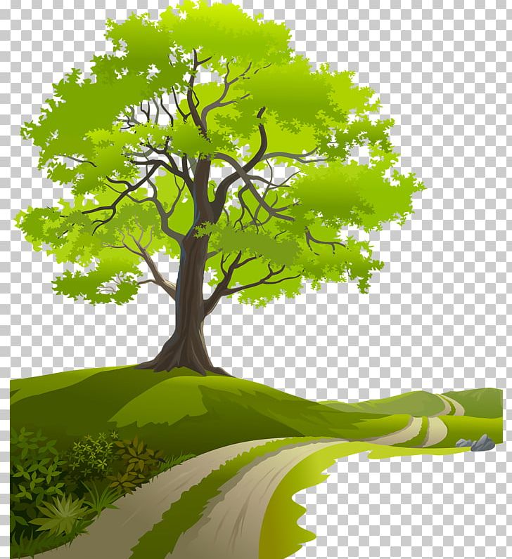 Art Desktop PNG, Clipart, Art, Branch, Clip Art, Computer Wallpaper, Desktop Wallpaper Free PNG Download