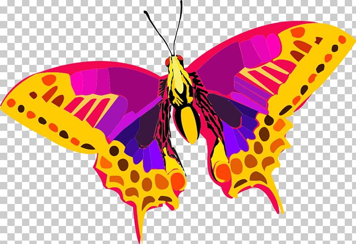 Butterfly PNG, Clipart, Animal, Arthropod, Brush Footed Butterfly, Butterfly, Butterfly Net Free PNG Download