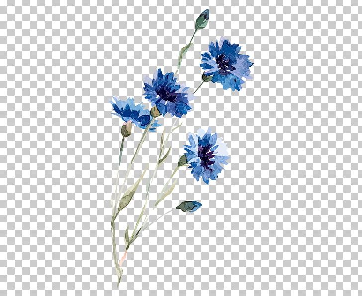 Cornflower Drawing Watercolor Painting Illustration PNG, Clipart, Blue, Chicory, Cut Flowers, Flora, Floral Design Free PNG Download