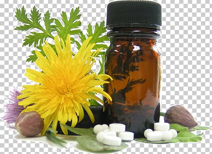 Homeopathy Alternative Health Services Medicine Essential Oil Cure PNG, Clipart, Alternative Health Services, Cure, Disease, Essential Oil, Flower Free PNG Download