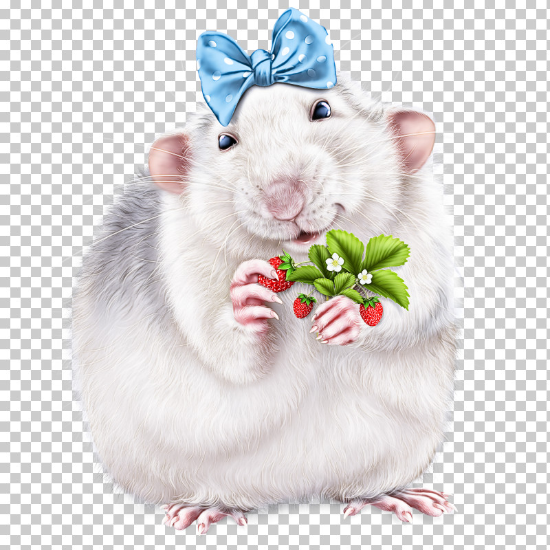 Hamsters Rodents Computer Mouse Whiskers Mongolian Gerbil PNG, Clipart, Computer Mouse, Hamsters, Mad Catz Rat M, Mongolian Gerbil, Pest Free PNG Download