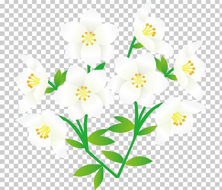 Cut Flowers Floral Design PNG, Clipart, Cut Flowers, Cyclamen Persicum, Daffodil, Daisy, Flora Free PNG Download