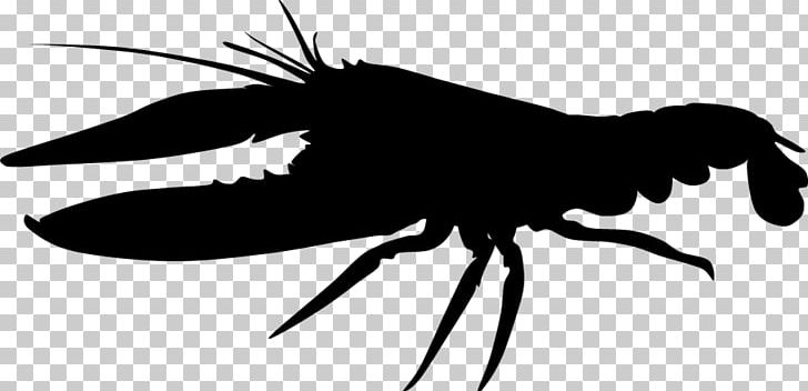 Insect Silhouette Pollinator Black PNG, Clipart, Arthropod, Black, Black And White, Fly, Insect Free PNG Download
