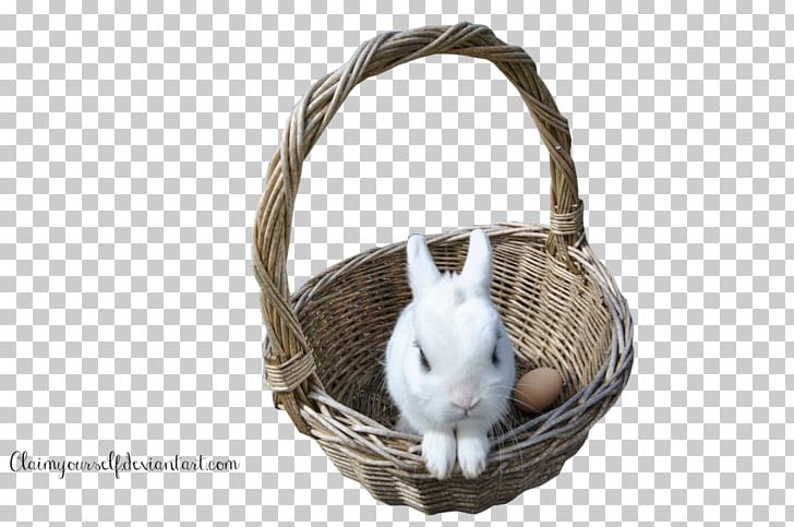 Rabbit Leporids PNG, Clipart, Animals, Art, Basket, Cadbury, Deviantart Free PNG Download