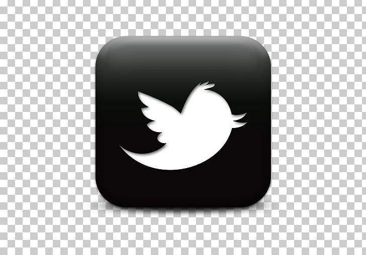 United States Social Media Google Tweetie Company PNG, Clipart, Black And White, Chief Operating Officer, Company, Google, Information Free PNG Download
