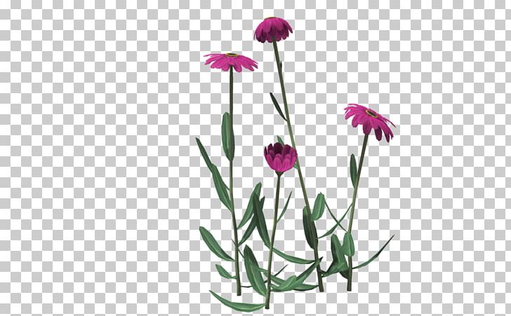 Cut Flowers Floral Design Plant Stem PNG, Clipart, Art, Cut Flowers, Family, Family Film, Flora Free PNG Download