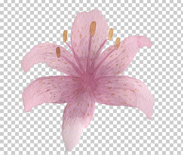 Pink Flower PNG, Clipart, Bana, Color, Designer, Download, Flower Free PNG Download
