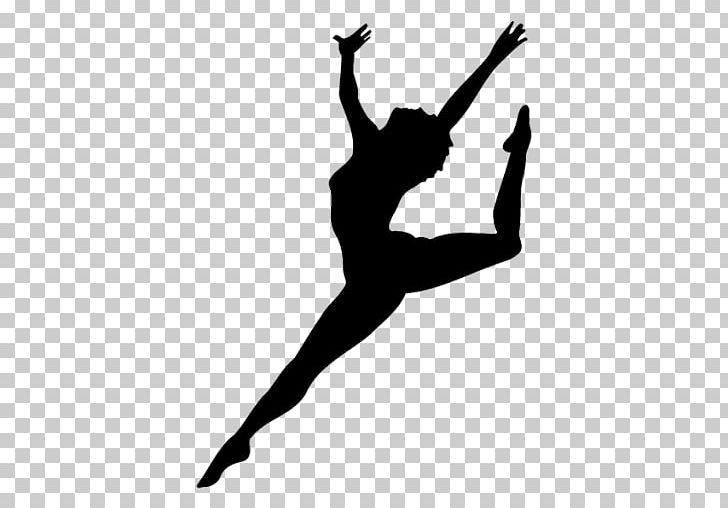 Ballet Dancer Silhouette Dance Studio Pole Dance PNG, Clipart, Animals, Arm, Art, Ballet, Ballet Dancer Free PNG Download
