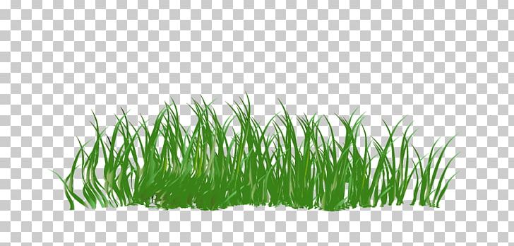 Green Cartoon PNG, Clipart, Animation, Background Green, Cartoon, Cartoon Grass, Commodity Free PNG Download