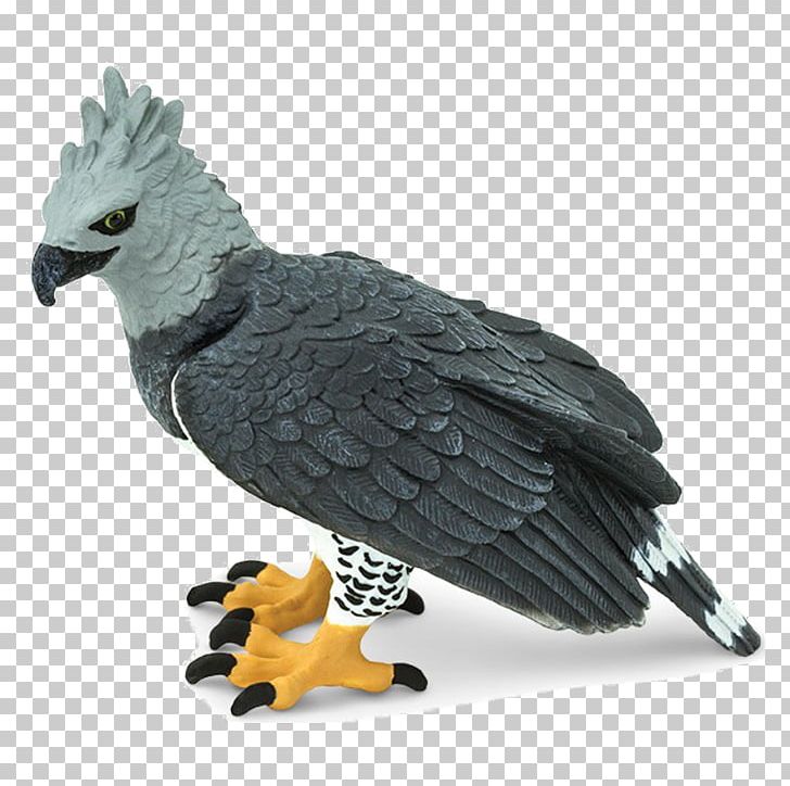 Harpy Eagle Safari Ltd Bald Eagle Bird PNG, Clipart, Animal, Animal Figure, Animals, Apex Predator, Bald Eagle Free PNG Download