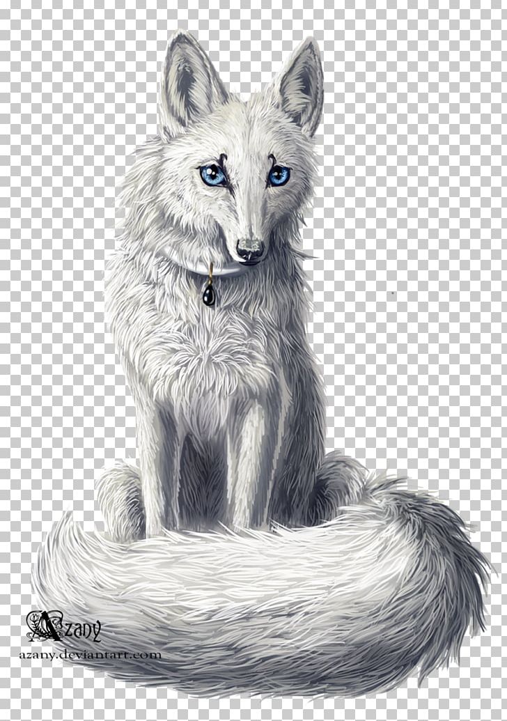 Red Fox Gray Wolf Kit Fox Fur Drawing PNG, Clipart, Animals, Black And White, Carnivoran, Dog Like Mammal, Drawing Free PNG Download