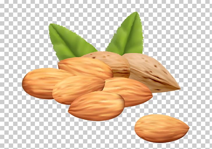 Almond Euclidean PNG, Clipart, Almond Milk, Almond Nut, Almond Nuts, Almond Pudding, Almonds Free PNG Download