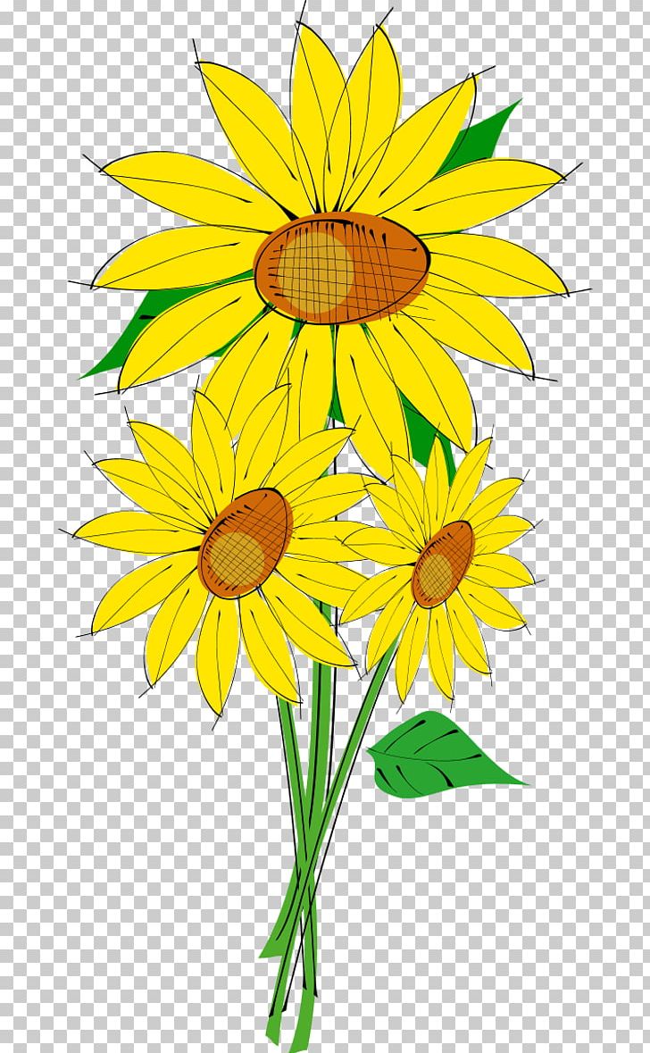 Common Sunflower PNG, Clipart, Blog, Common Sunflower, Cut Flowers, Daisy, Daisy Family Free PNG Download