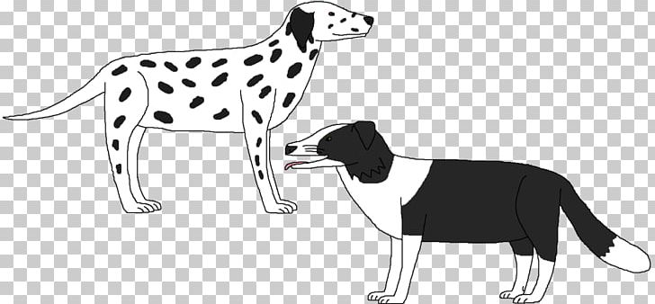 Dalmatian Dog Italian Greyhound Puppy Dog Breed Cat PNG, Clipart, Border Collie, Breed, Carnivoran, Cat, Cat Like Mammal Free PNG Download