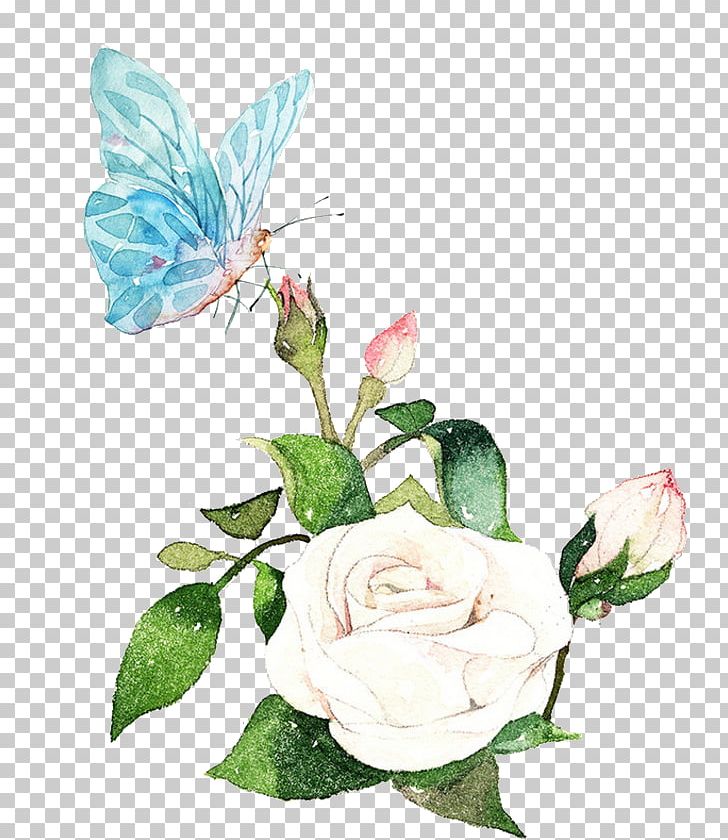 Watercolor Painting PNG, Clipart, But, Butterflies, Butterfly Group, Cartoon, Flower Free PNG Download