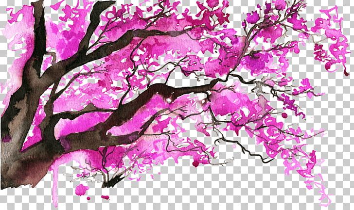 chinese cherry blossom tree branch drawing
