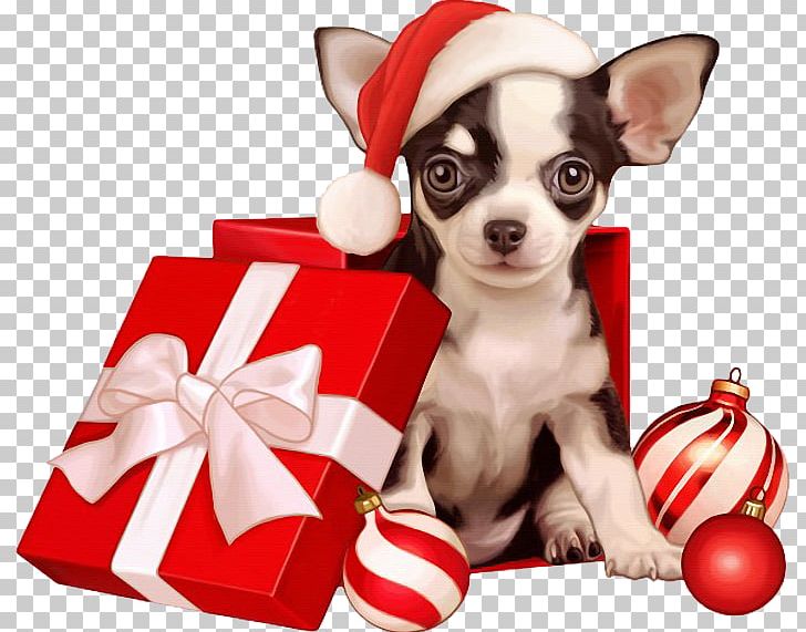 Chihuahua Puppy Pug Dog Breed Companion Dog PNG, Clipart, Animals, Breed, Carnivoran, Chihuahua, Christmas Free PNG Download