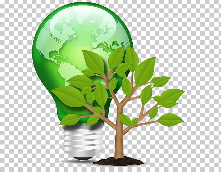 Incandescent Light Bulb Fluorescent Lamp LED Lamp PNG, Clipart, Compact Fluorescent Lamp, Efficient Energy Use, Energy, Energy Conservation, Flowerpot Free PNG Download