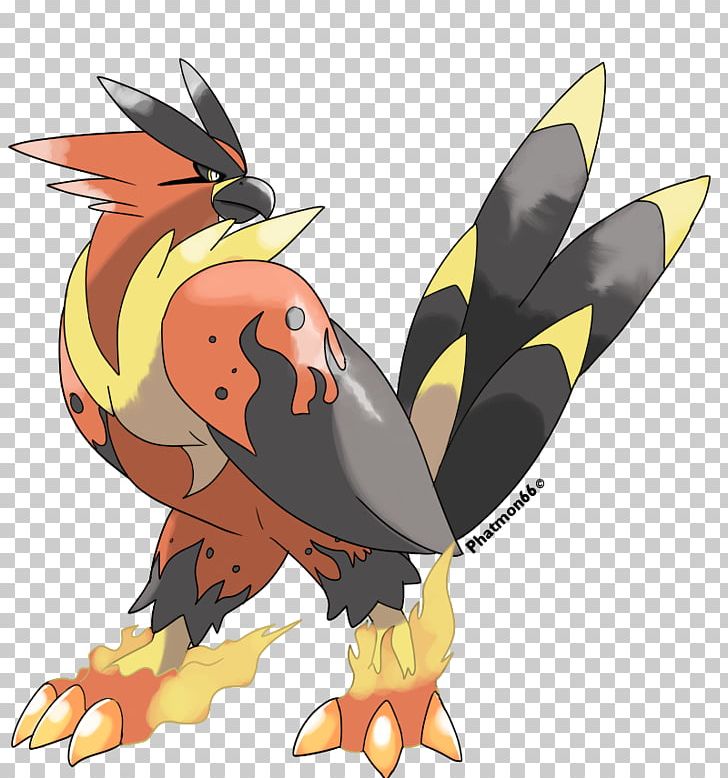 Pokémon X And Y Pikachu Talonflame Évolution Des Pokémon PNG, Clipart, Art, Beak, Bird, Bird Of Prey, Charizard Free PNG Download
