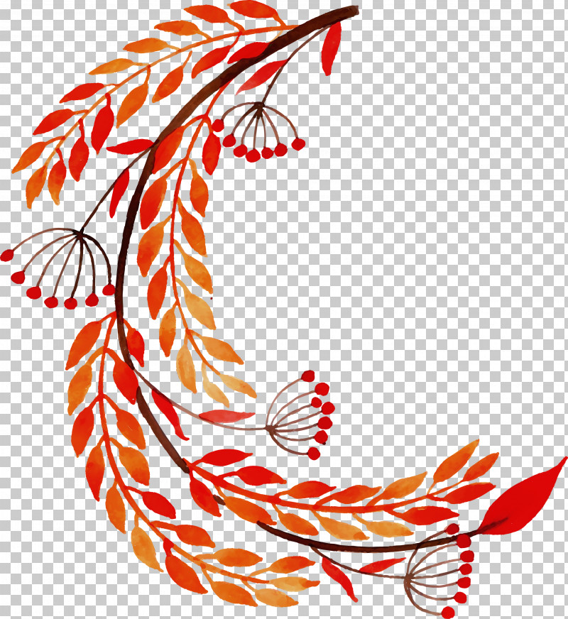 Leaf Pattern Tree Line Area PNG, Clipart, Area, Autumn Leaf, Beak, Biology, Colorful Leaf Free PNG Download