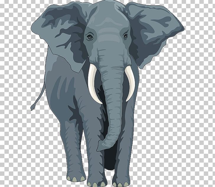 Asian Elephant African Elephant Elephantidae The Elephants PNG, Clipart, African Elephant, Asian Elephant, Black And White, Clip Art, Elephantidae Free PNG Download
