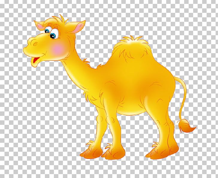 Camel Llama PNG, Clipart, Animal Figure, Animals, Arabian Camel, Blog, Camel Free PNG Download