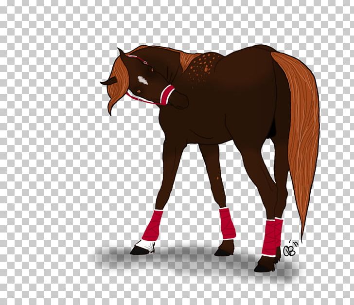 Horse Foal Stallion Pony Mare PNG, Clipart, Animals, Bridle, Colt, English Riding, Equestrian Free PNG Download