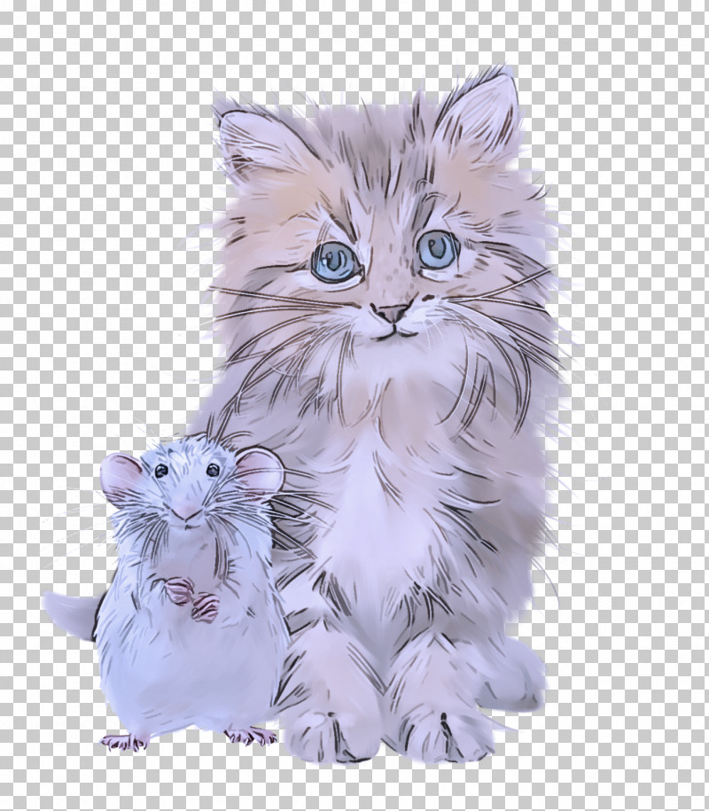 American Curl Kitten Wildcat Paw Whiskers PNG, Clipart, American Curl, Biology, Cat, Domestic Shorthaired Cat, Fur Free PNG Download