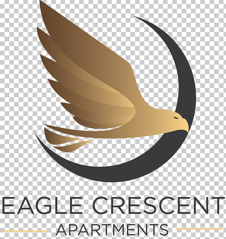 Beak Logo Bird Brand PNG, Clipart, Apartment, Beak, Bird, Brand, Color Free PNG Download