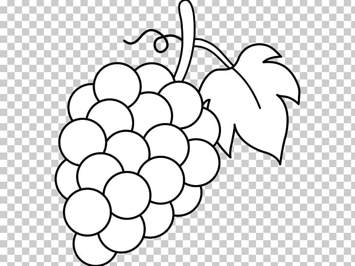 Common Grape Vine Wine Juice PNG, Clipart, Black, Black And White, Branch, Circle, Coloring Book Free PNG Download