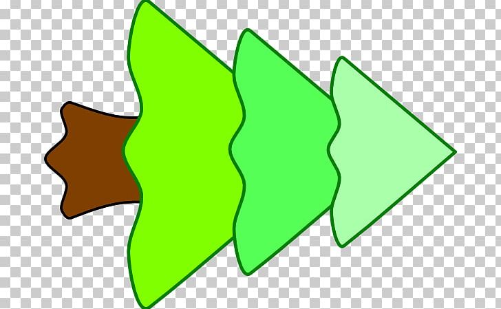 Angle Leaf Others PNG, Clipart, Angle, Area, Artwork, Cartoon, Conifer Cone Free PNG Download