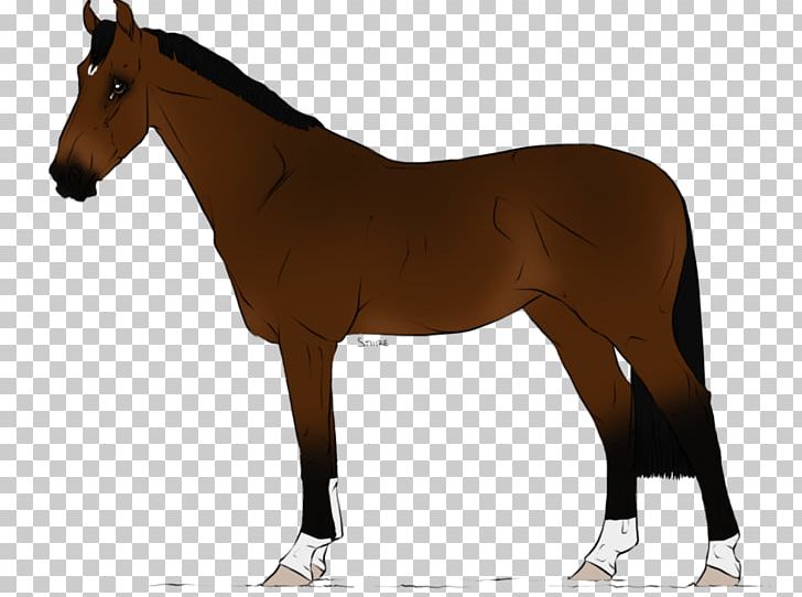 Stallion Mare Trakehner Foal Mane PNG, Clipart, Bay, Bridle, Brindle, Colt, Domestic Animal Free PNG Download