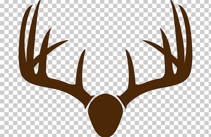 White-tailed Deer Elk Moose Antler PNG, Clipart, Antler, Black And White, Deer, Deer Vector, Elk Free PNG Download