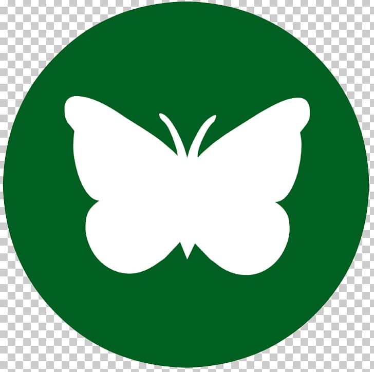 Quality Assurance Rainforest QA HQ Business Amazon Rainforest PNG, Clipart, Amazon Rainforest, Brush Footed Butterfly, Business, Butterfly, Circle Free PNG Download