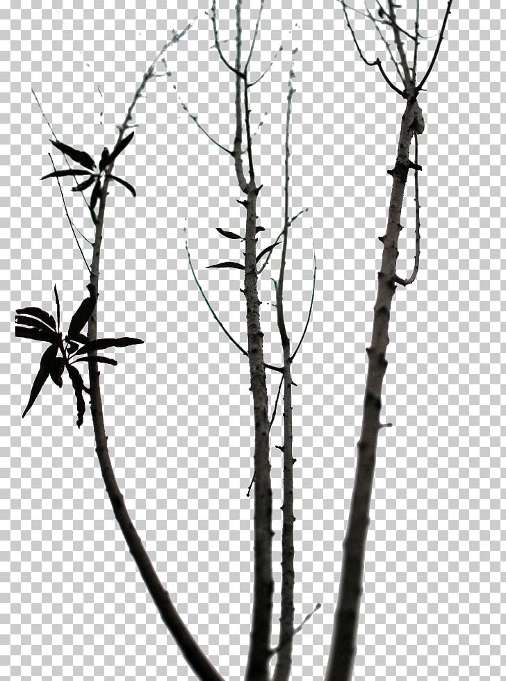 Twig PNG, Clipart, Black, Black And White, Branch, Deadwood, Deadwood Vector Free PNG Download