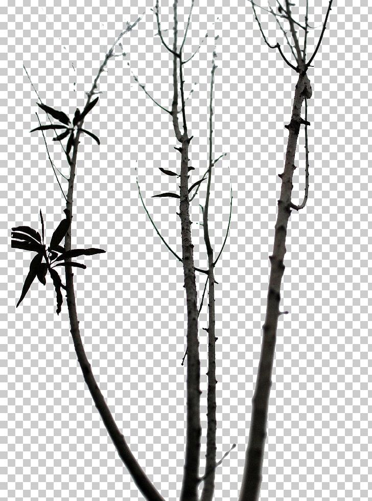 Twig Clipart Vector, A Twig, Branch, Deadwood, Branches And Leaves