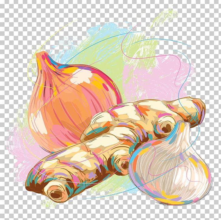 Ginger Illustration PNG, Clipart, Art, Drawing, Euclidean Vector, Food, Getty Images Free PNG Download