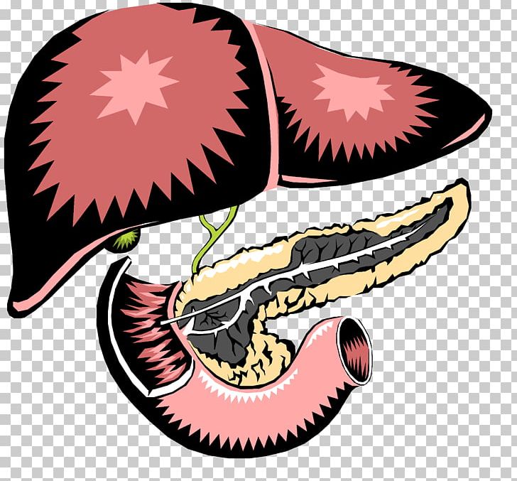 Pancreas Liver Digestion Gallbladder Small Intestine PNG, Clipart, Anatomy, Artwork, Biliary Tract, Diabetes, Digestion Free PNG Download