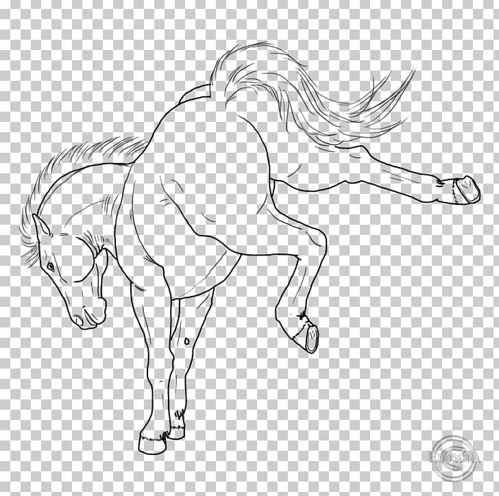 Arabian Horse Fjord Horse Mare Foal Stallion PNG, Clipart, Animal Figure, Arabian Horse, Arm, Artwork, Black And White Free PNG Download