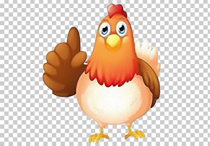 Chicken Galliformes Cartoon PNG, Clipart, Beak, Bird, Cartoon, Chicken, Chickens Free PNG Download