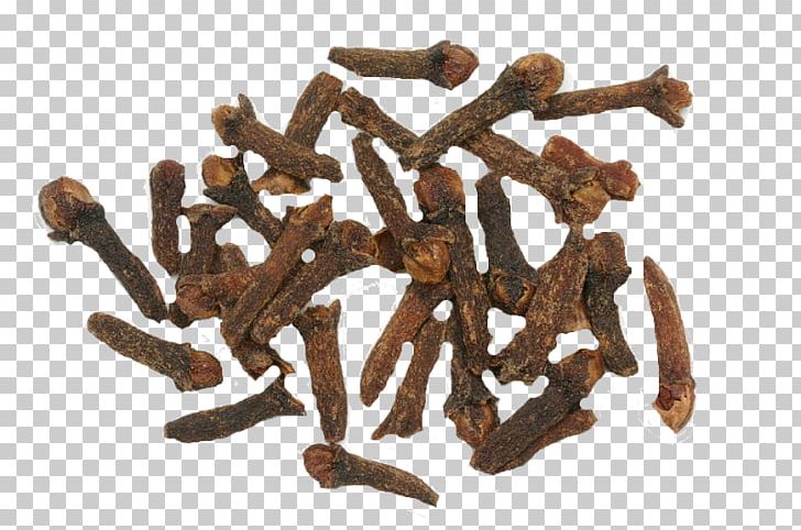 Clove Maluku Islands Spice Nutmeg Herb PNG, Clipart, Anise, Aroma Compound, Arthritis, Basil, Bud Free PNG Download