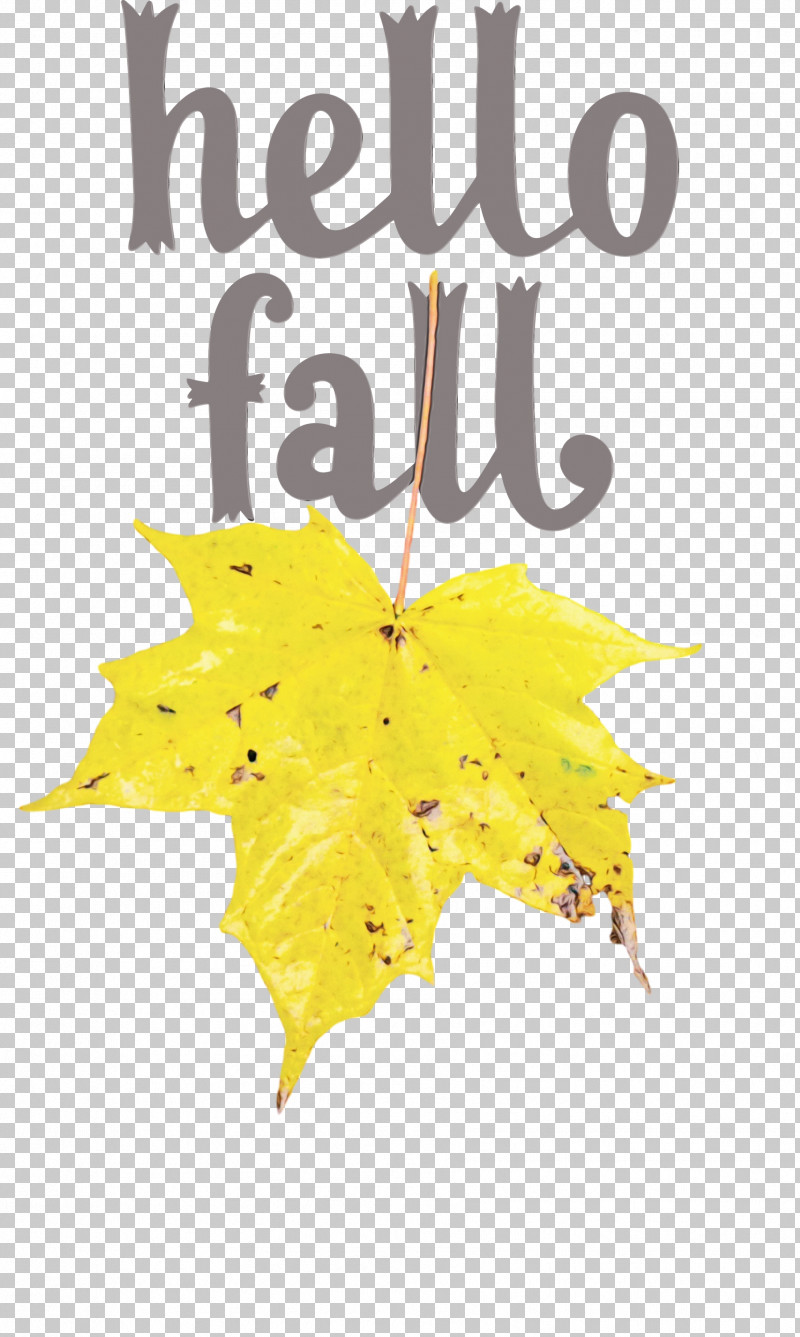 Leaf Maple Leaf / M Yellow Font Tree PNG, Clipart, Autumn, Biology, Fall, Hello Fall, Leaf Free PNG Download