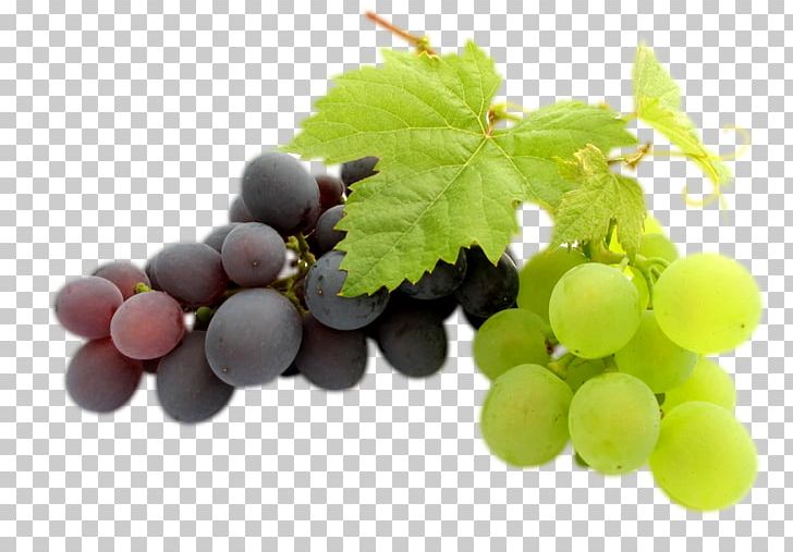 Kyoho Wine Grape PNG, Clipart, Clip Art, Common Grape Vine, Computer Icons, Download, Dried Fruit Free PNG Download
