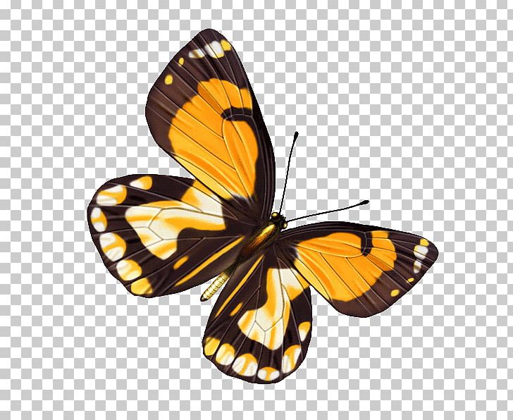 Butterfly Sticker Art PNG, Clipart, Animaatio, Art, Arthropod, Brush Footed Butterfly, Download Free PNG Download