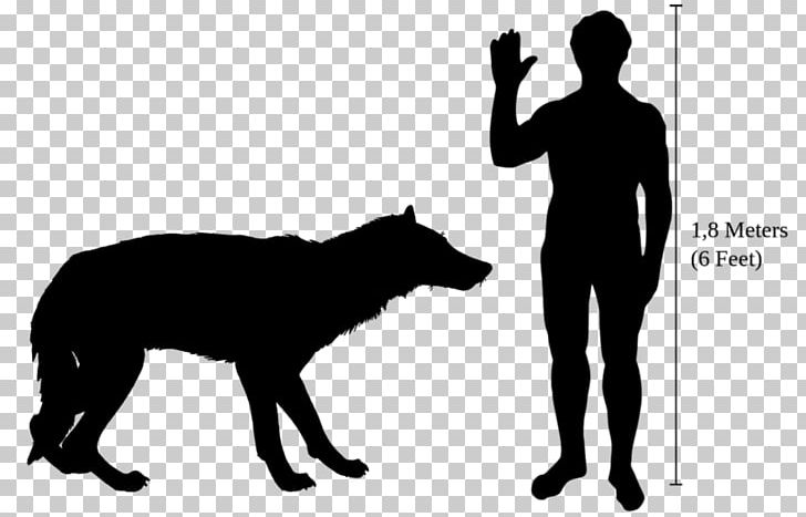 Dog Heterodontosaurus Dire Wolf Vertebrate Beringian Wolf PNG, Clipart, African Wild Dog, Animals, Beringian Wolf, Black, Black And White Free PNG Download