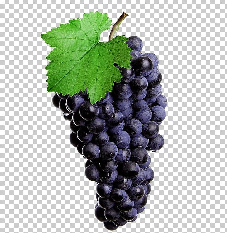 Red Wine Common Grape Vine Isabella Juice Rosxe9 PNG, Clipart, Fall Leaves, Food, Fruit, Fruit Nut, Grap Free PNG Download
